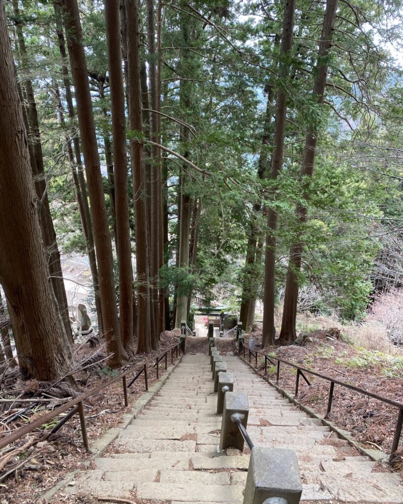 大山阿夫利神社下社から山頂方面へ続く階段