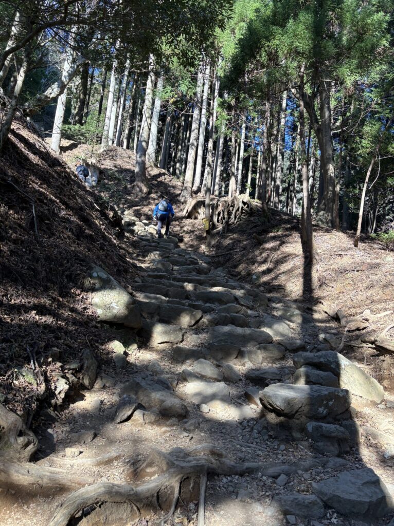 登山道の様子