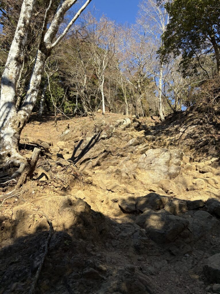 岩がごろごろしてる登山道