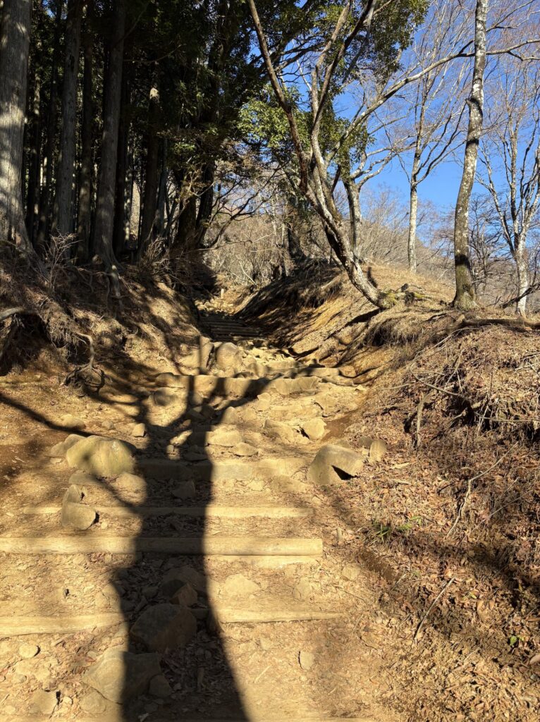 階段が続く登山道