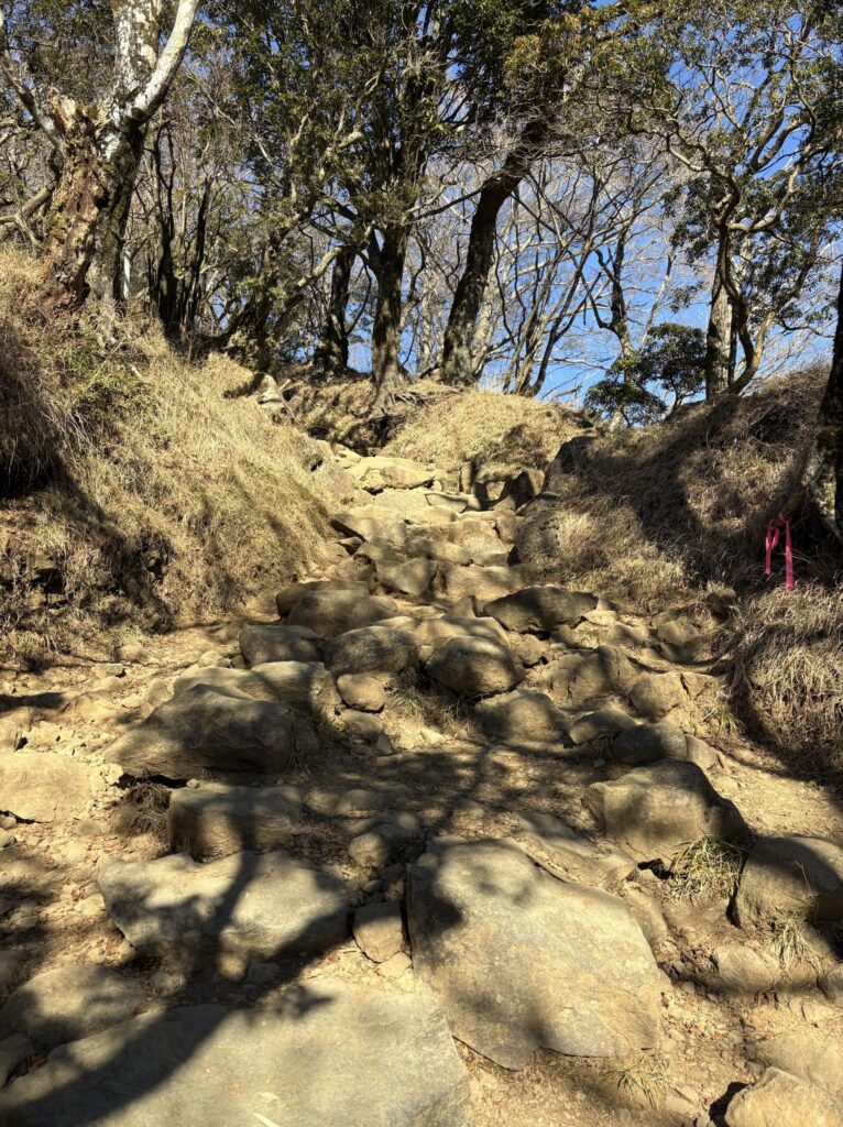 岩がたくさんある登山道の様子