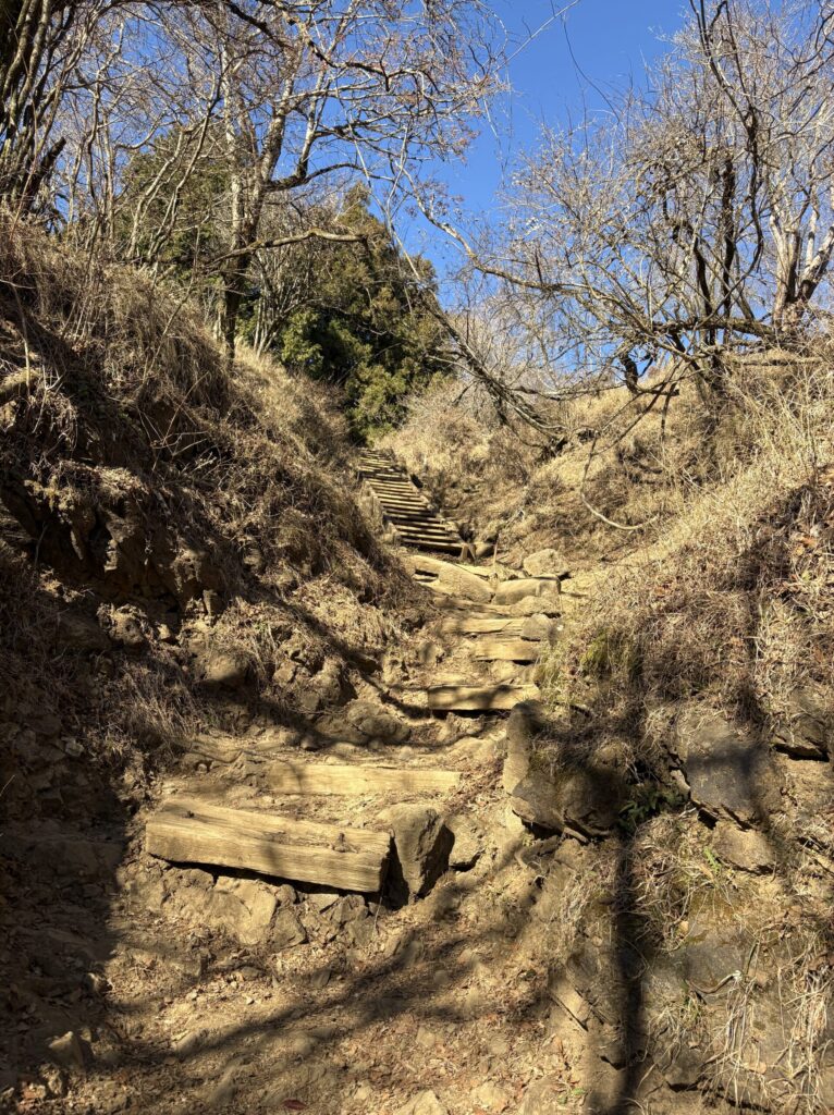木の階段を続く登山道
