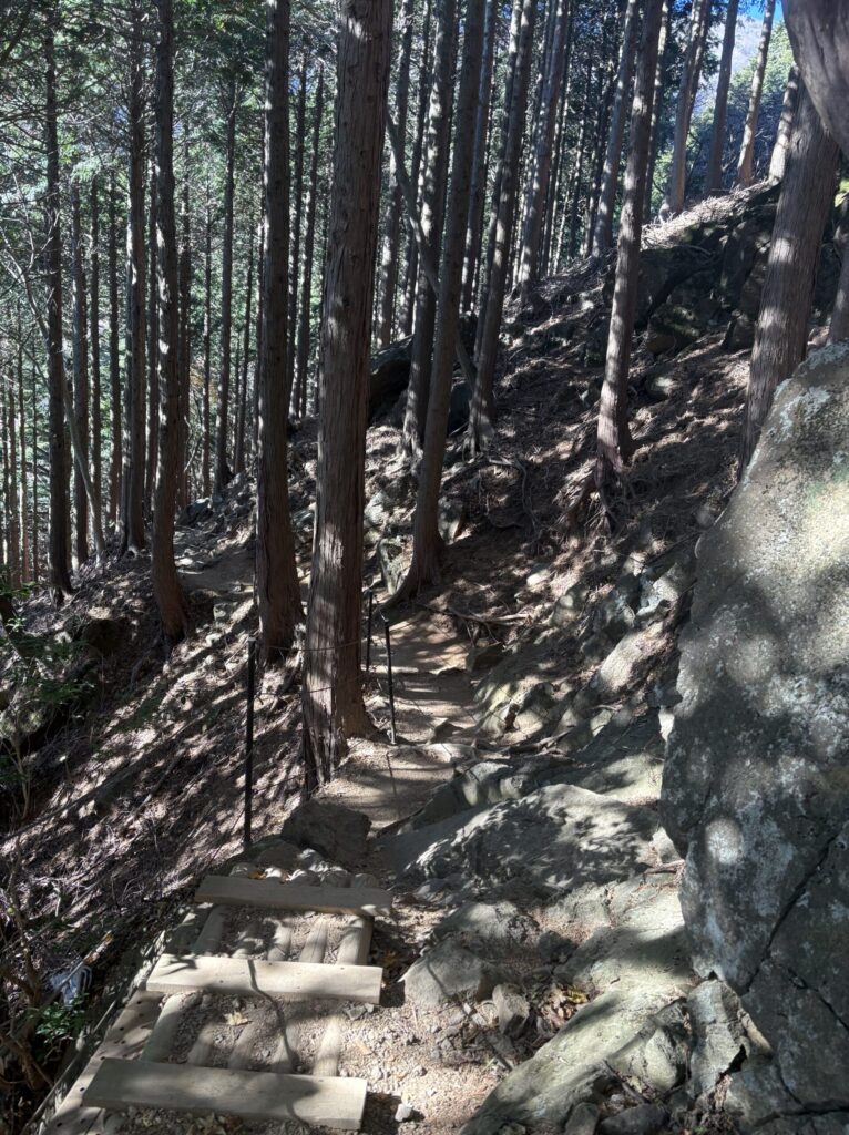 見晴台から阿夫利神社下社へ続く登山道の様子1
