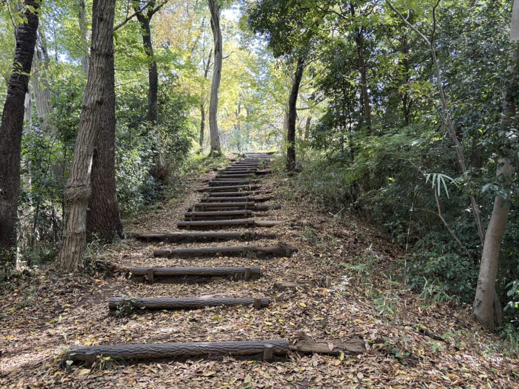 浅間山山頂近くの階段
