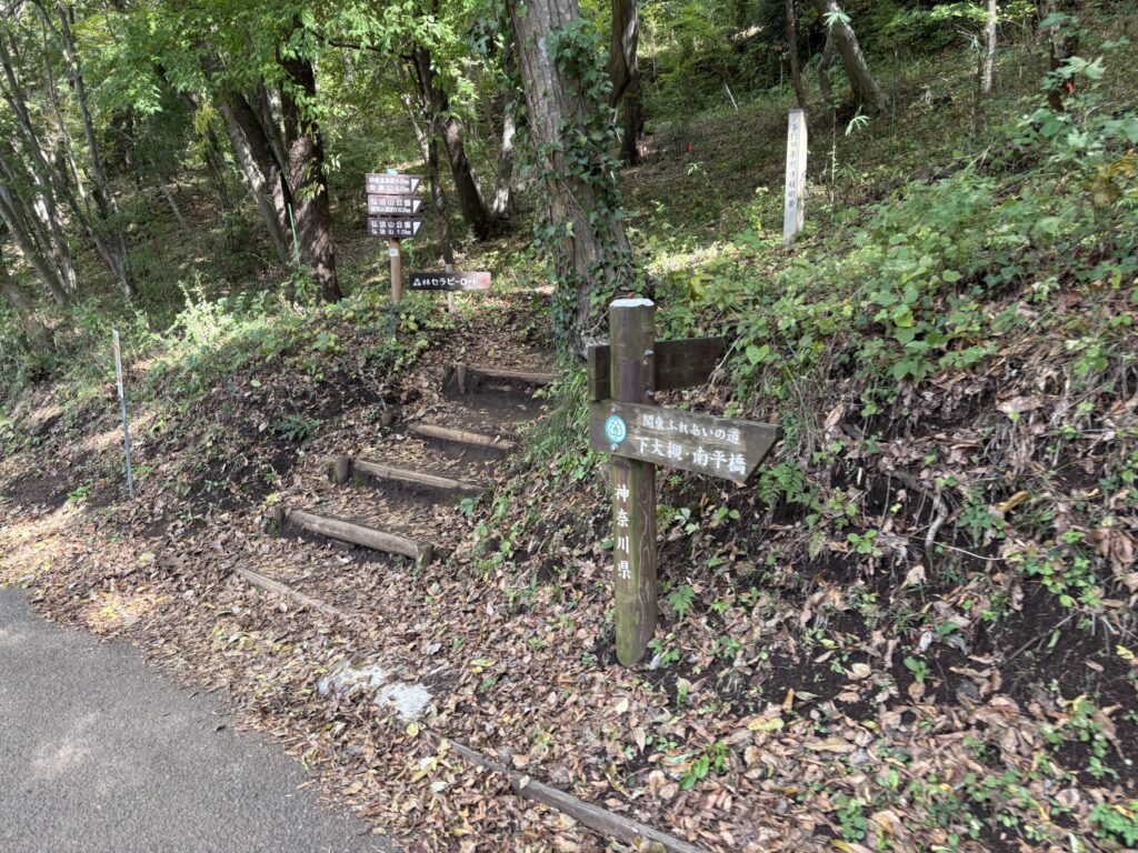 一般道から再び登山道へ戻るポイント