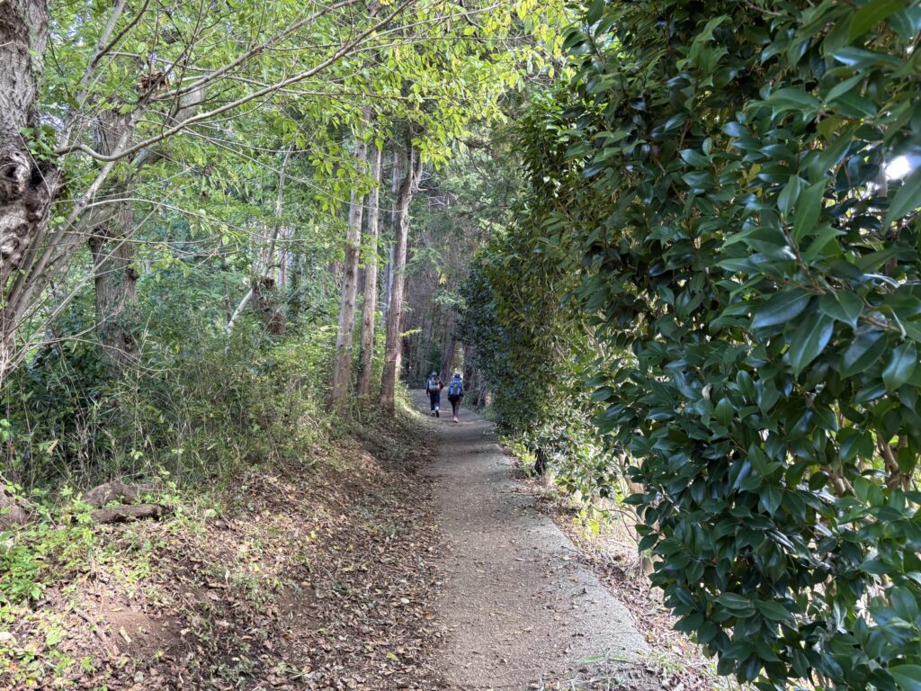 低山を散策する登山客の姿