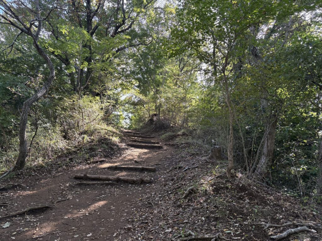 吾妻山までの登山道１
