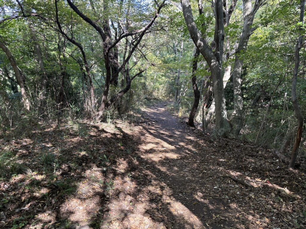 吾妻山までの登山道２
