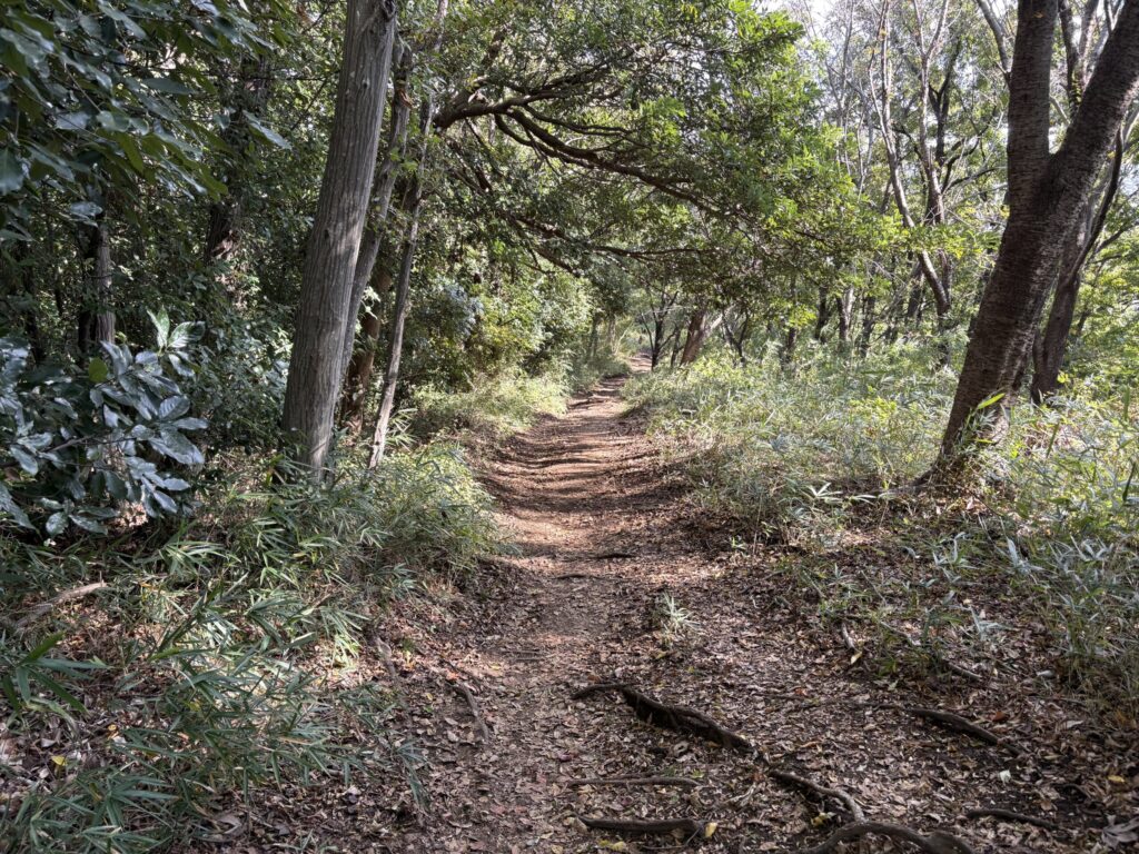 吾妻山から鶴巻温泉駅までの登山道１