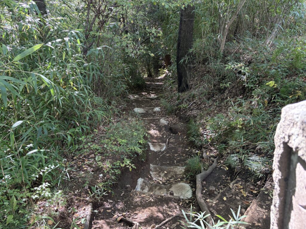 鶴巻温泉駅までの登山道２