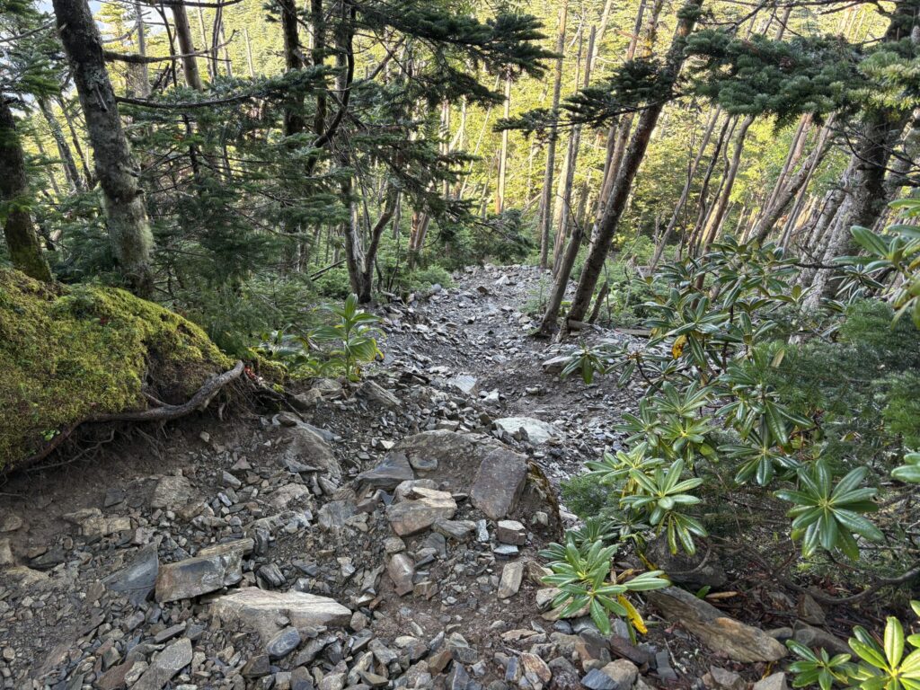 朝日岳通過後のザレ場の画像
