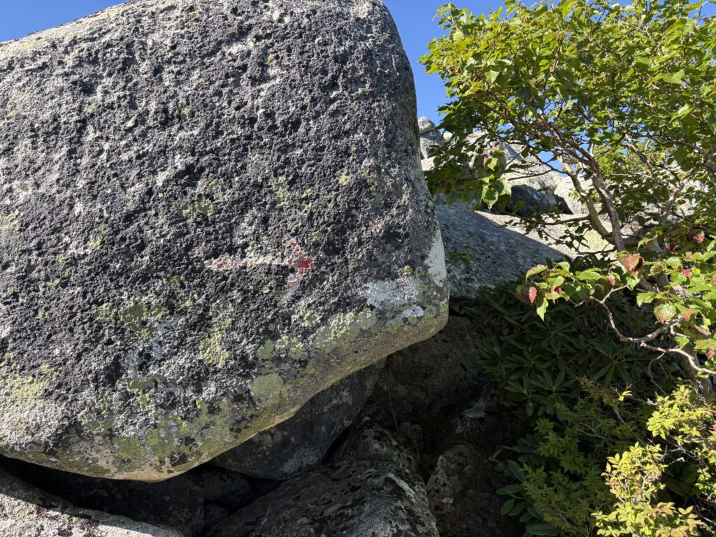 金峰山山頂手前の道標の画像